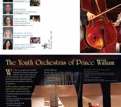 Youth Orchestra Banner