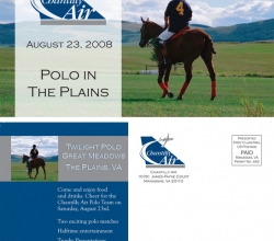 Polo Postcard